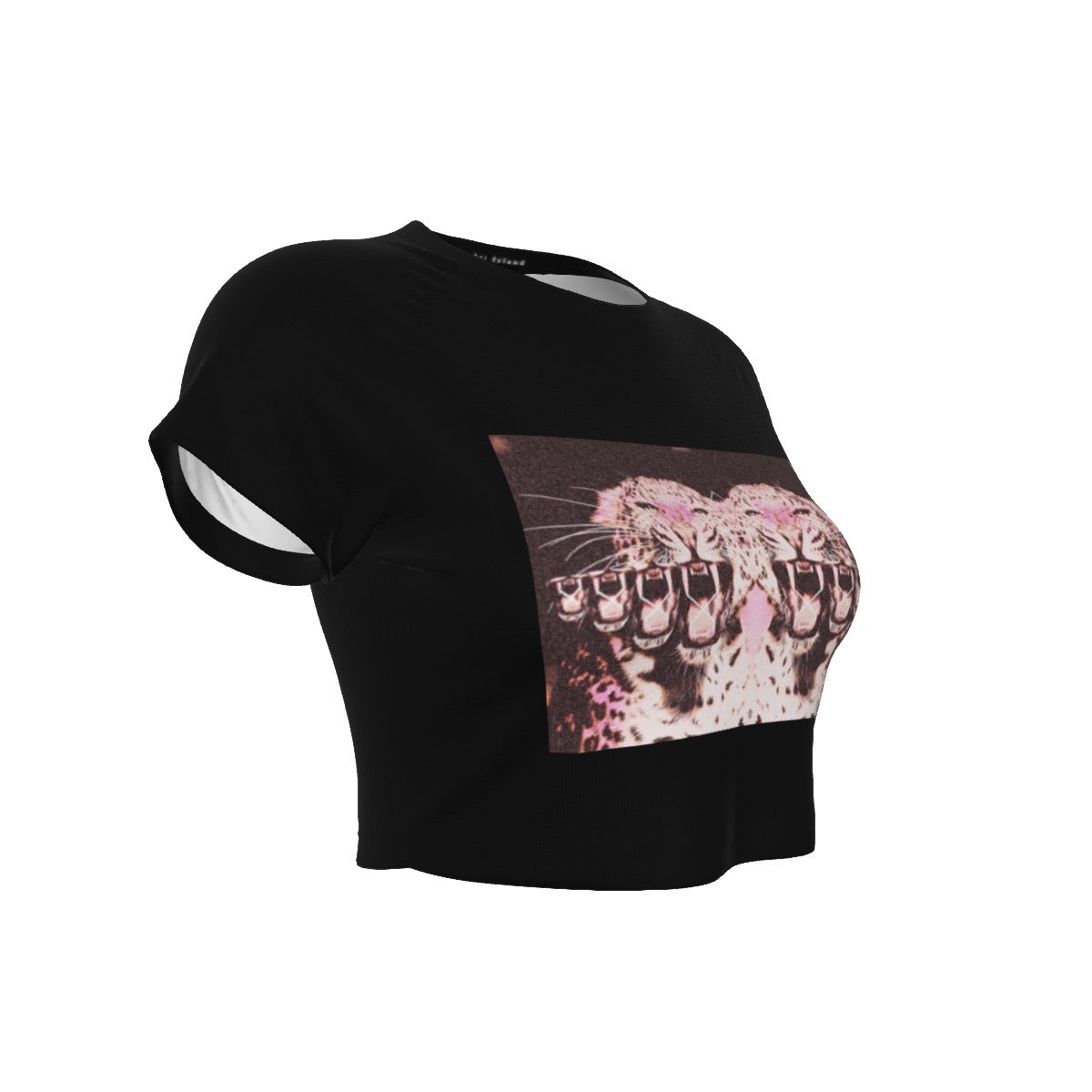 Fierce Roar Black Raglan Cropped T-shirt