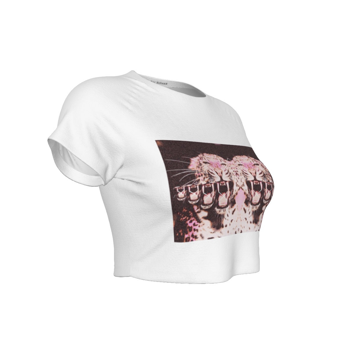 Fierce Roar White Raglan Cropped T-shirt